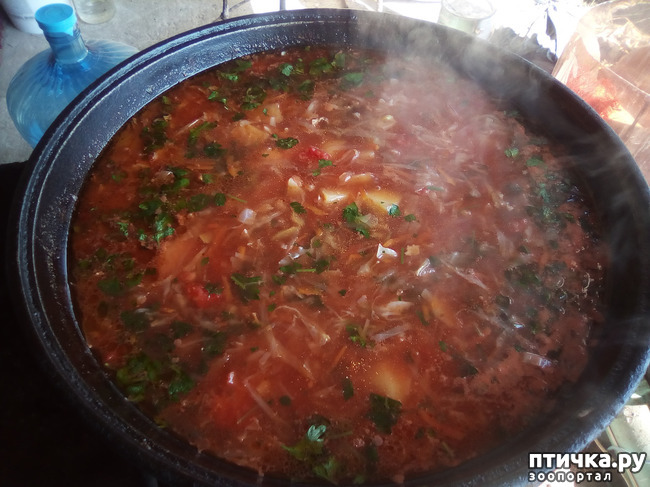 ���� 23: ������� �������� ������� �����