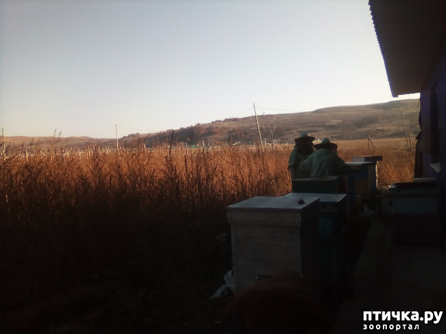 ���� 24: ������� �������� ������� �����