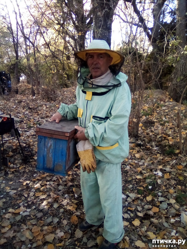 ���� 25: ������� �������� ������� �����