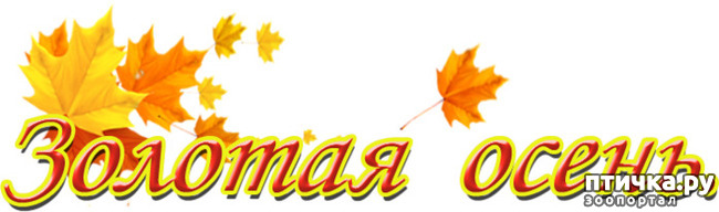 ���� 2: ������� �������� ������� �����