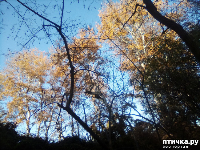 ���� 6: ������� �������� ������� �����