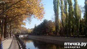 ����: ������ �����