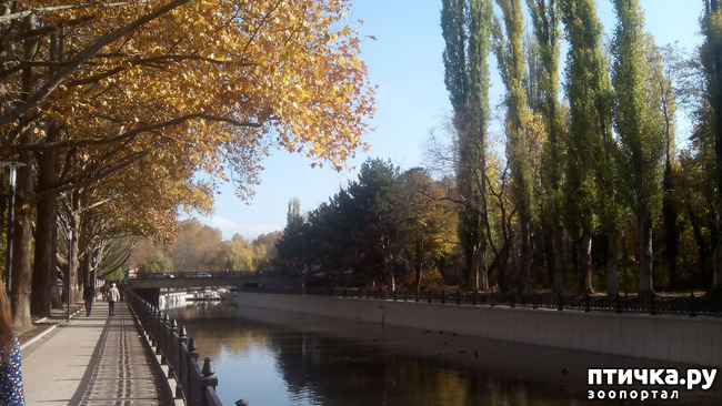 ���� 1: ������ �����