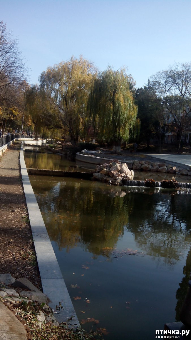 ���� 2: ������ �����