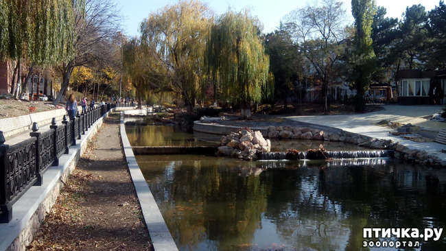 ���� 6: ������ �����