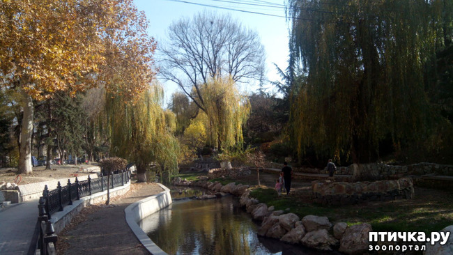 ���� 3: ������ �����