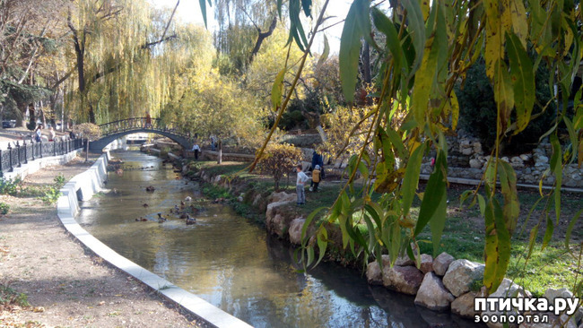 ���� 4: ������ �����