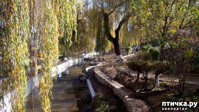 ���� 5: ������ �����