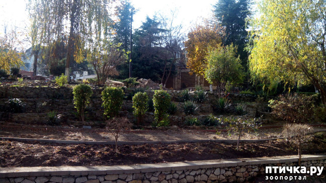 ���� 8: ������ �����