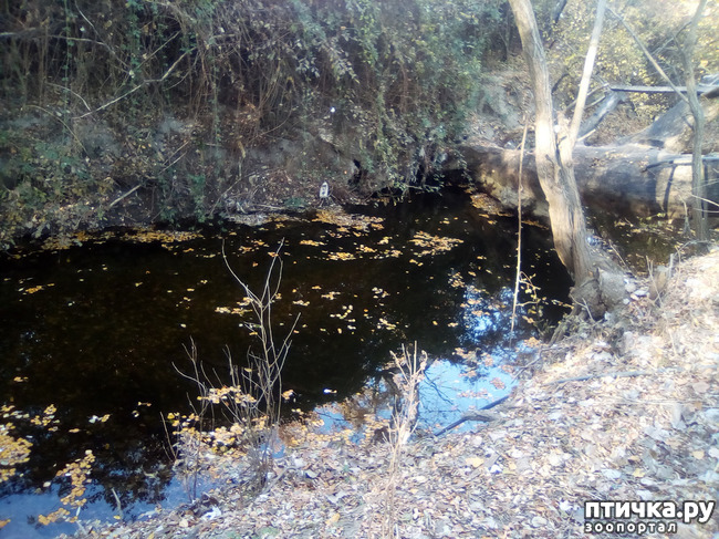 ���� 3: ������� �������� ������� �����