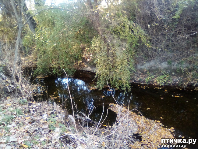 ���� 5: ������� �������� ������� �����