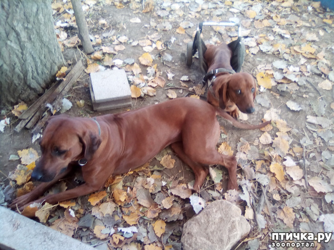 ���� 7: ������� �������� ������� �����