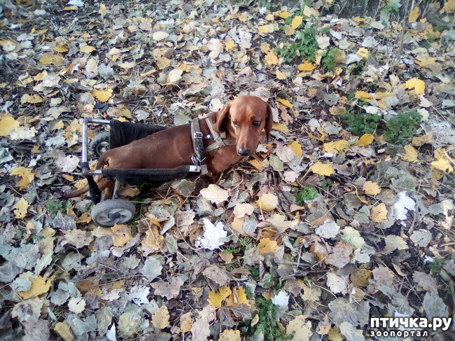 ���� 8: ������� �������� ������� �����