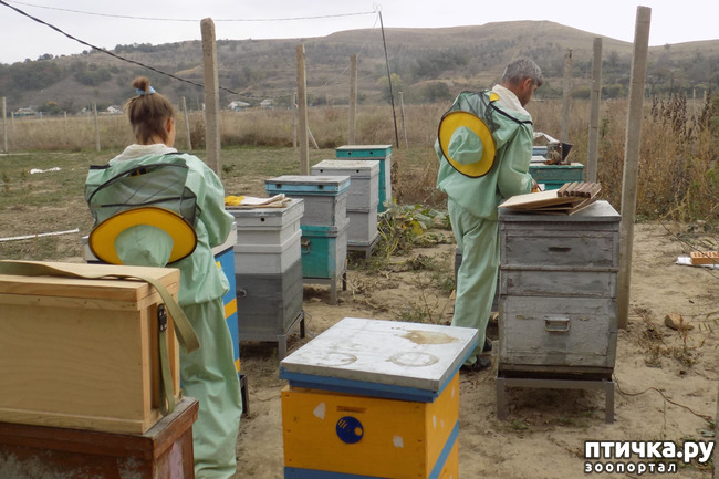 ���� 26: ������� �������� ������� �����