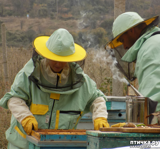 ���� 27: ������� �������� ������� �����