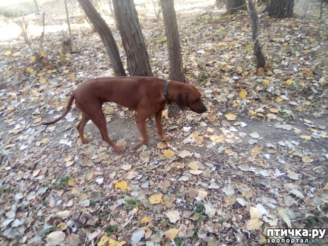 ���� 9: ������� �������� ������� �����