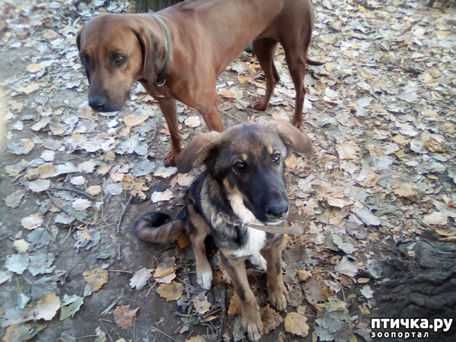 ���� 11: ������� �������� ������� �����