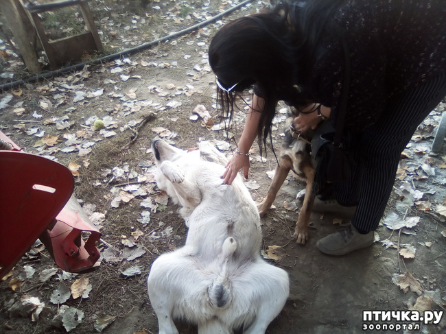 ���� 15: ������� �������� ������� �����