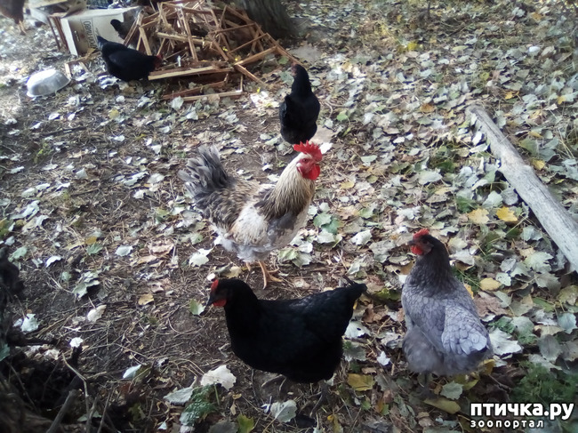 ���� 17: ������� �������� ������� �����