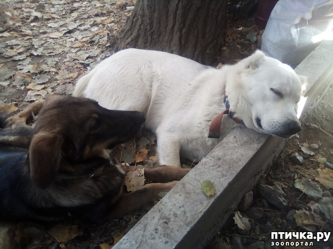 ���� 12: ������� �������� ������� �����