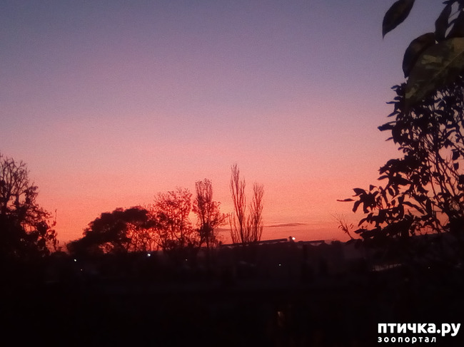 ���� 30: ������� �������� ������� �����