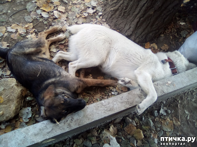 ���� 13: ������� �������� ������� �����