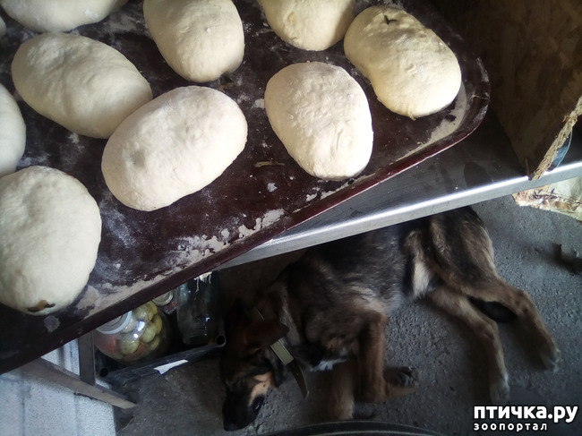 ���� 14: ������� �������� ������� �����