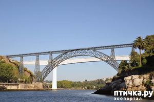 ����: ����������. �����. ������ � ��������.