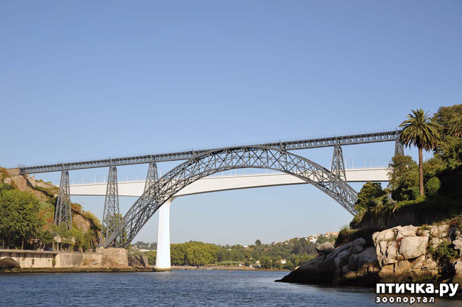 ���� 1: ����������. �����. ������ � ��������.