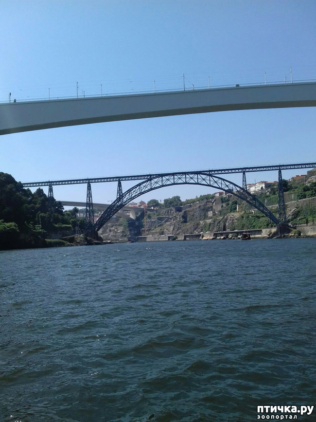 ���� 2: ����������. �����. ������ � ��������.