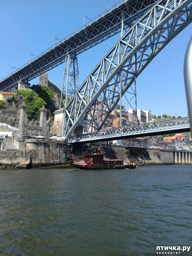 ���� 3: ����������. �����. ������ � ��������.