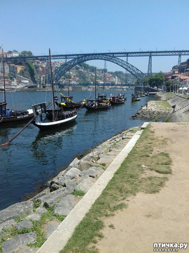 ���� 4: ����������. �����. ������ � ��������.