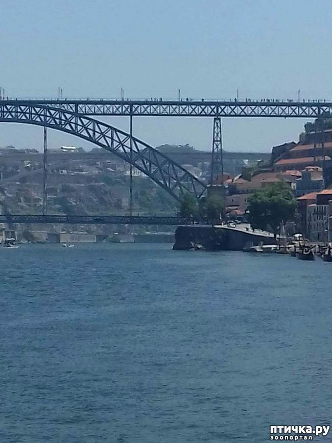 ���� 5: ����������. �����. ������ � ��������.