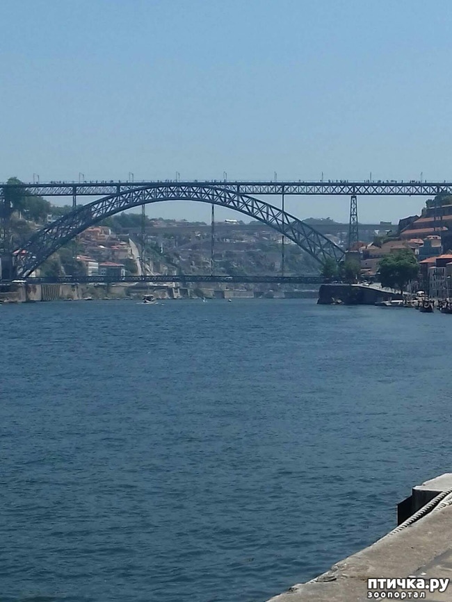 ���� 6: ����������. �����. ������ � ��������.