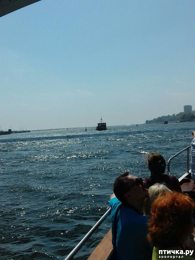 ���� 7: ����������. �����. ������ � ��������.