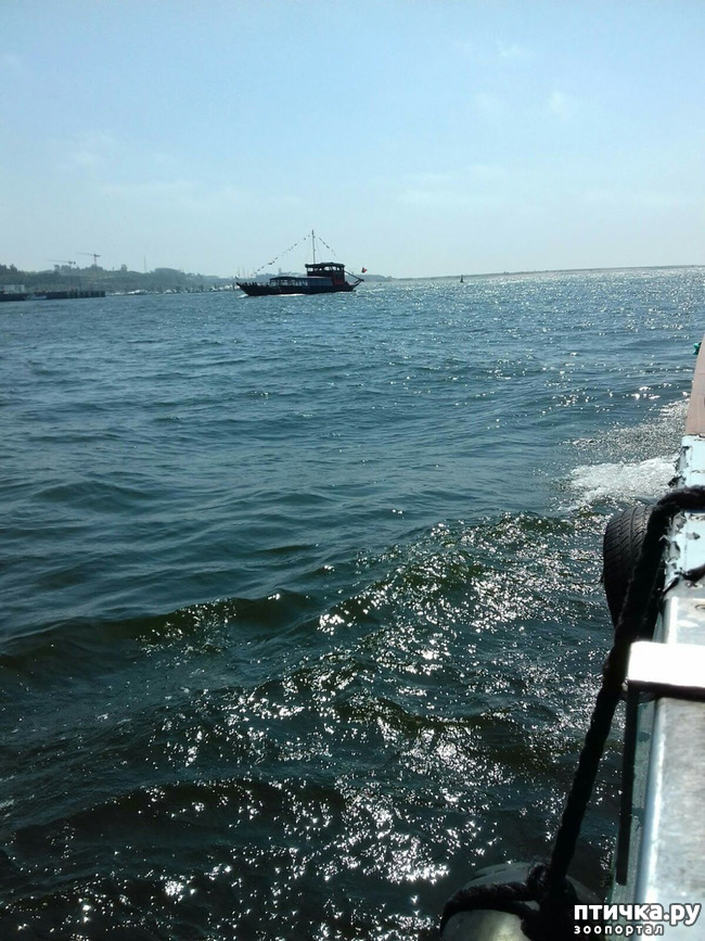 ���� 8: ����������. �����. ������ � ��������.