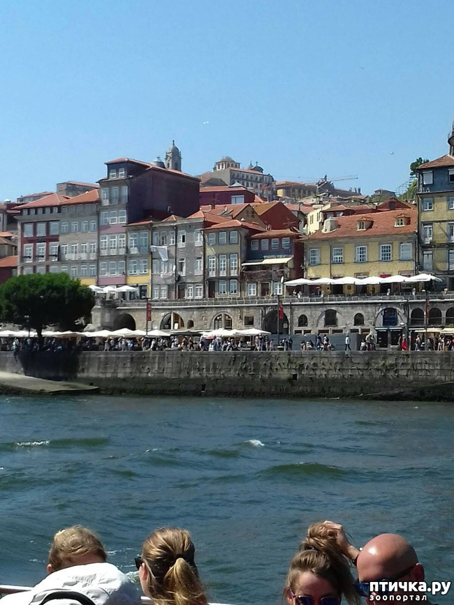 ���� 9: ����������. �����. ������ � ��������.