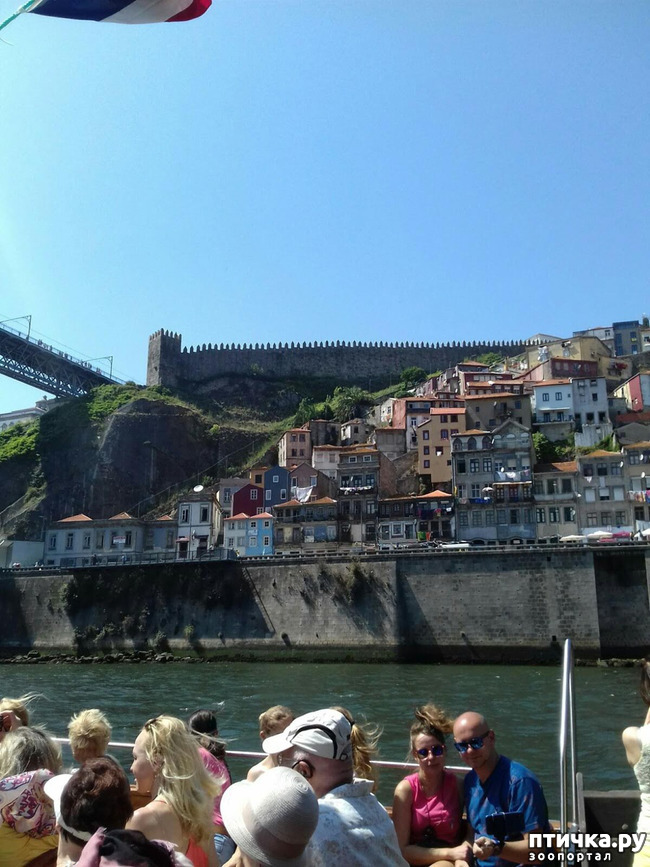 ���� 10: ����������. �����. ������ � ��������.