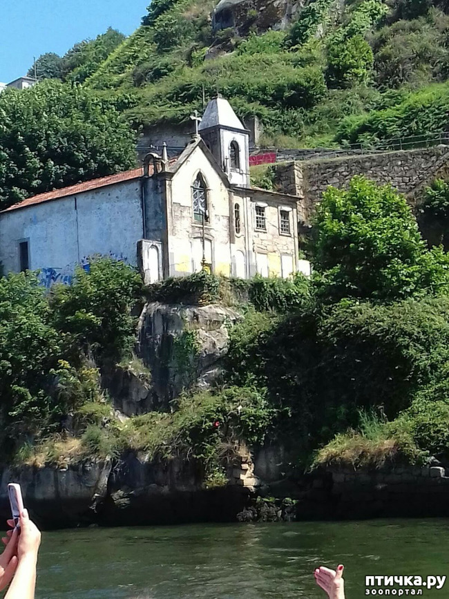 ���� 11: ����������. �����. ������ � ��������.