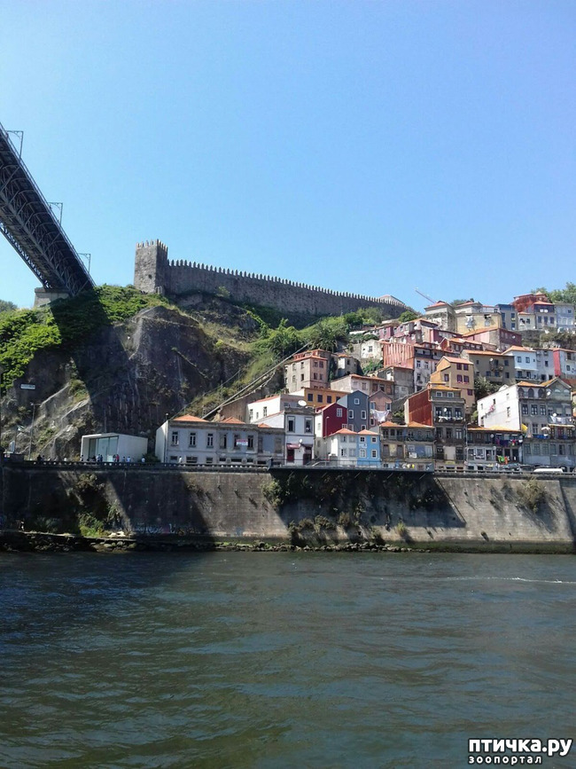 ���� 12: ����������. �����. ������ � ��������.