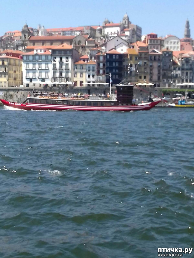 ���� 13: ����������. �����. ������ � ��������.