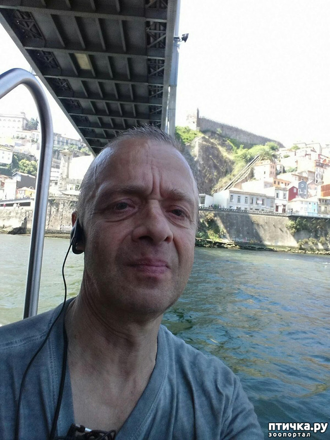 ���� 14: ����������. �����. ������ � ��������.