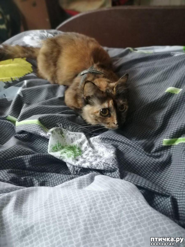 ���� 2: ��� �������. ������ ����.