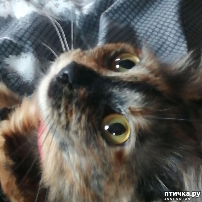 ���� 3: ��� �������. ������ ����.