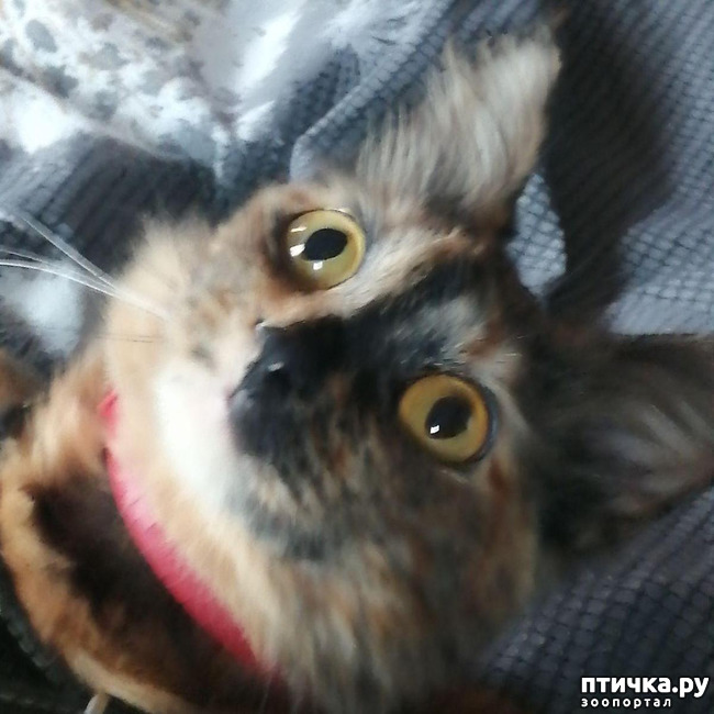 ���� 4: ��� �������. ������ ����.