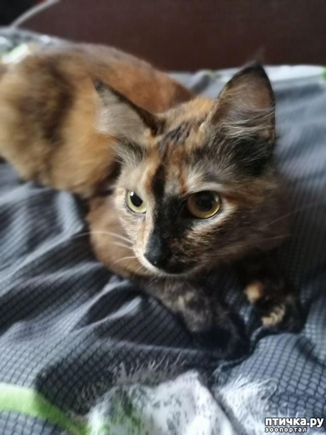 ���� 5: ��� �������. ������ ����.