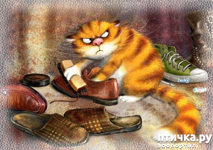 ����: ����������