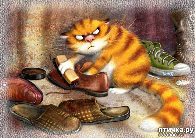 ���� 1: ����������