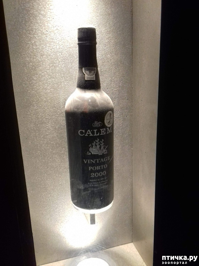 ���� 15: ����������. �����. ������ � ��������.