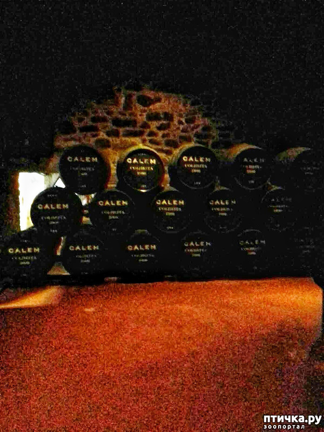 ���� 16: ����������. �����. ������ � ��������.